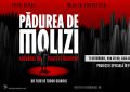 Pădurea de molizi